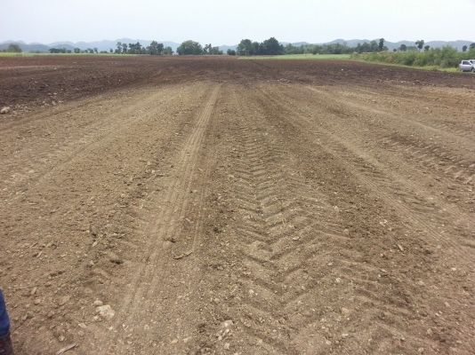 เครื่องเก็บหิน ยี่ห้อ SCHULTE