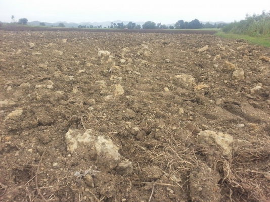 เครื่องเก็บหิน ยี่ห้อ SCHULTE