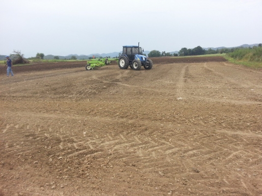 เครื่องเก็บหิน ยี่ห้อ SCHULTE