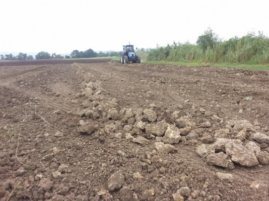 เครื่องเก็บหิน ยี่ห้อ SCHULTE