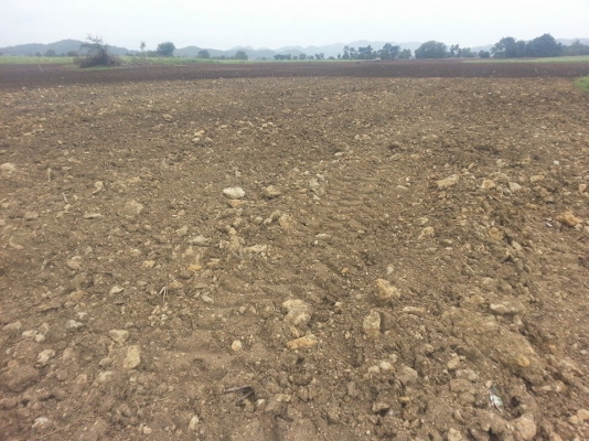 เครื่องเก็บหิน ยี่ห้อ SCHULTE