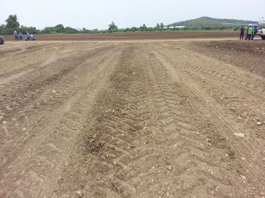 เครื่องเก็บหิน ยี่ห้อ SCHULTE