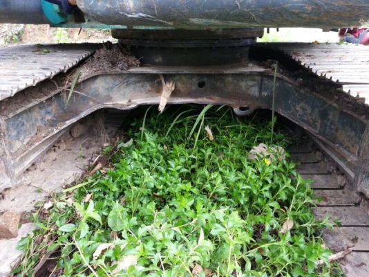 รถแบคโฮ KOBELCO  SK140.  ( รถทำงาน 6,6xx ซม. )  สนใจติดต่อ 081 - 6079515