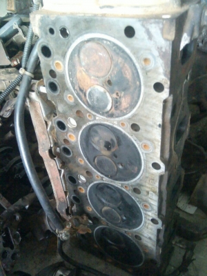 ขายฝาสูบมังกร. นิสสันyd ขายฝาสูบมังกร. นิสสันyd