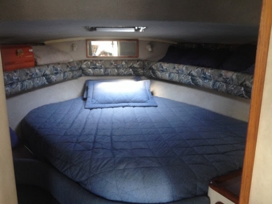 เรือ Sea Ray 350 สนใจติดต่อ 090-268-2228 เรือ Sea Ray 350 สนใจติดต่อ 090-268-2228