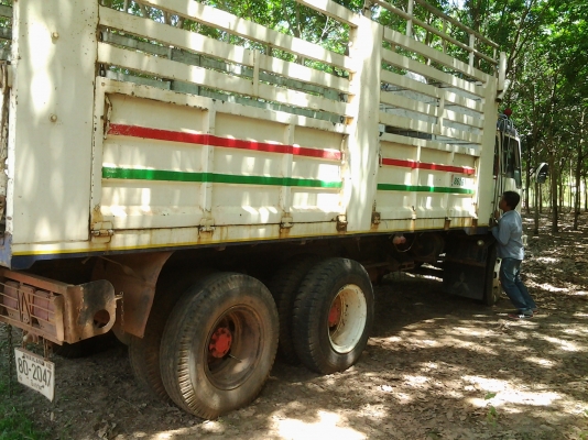 FN516   เครื่องHO7D   10ล้อเพลาเดียว กระบะเหล็ก