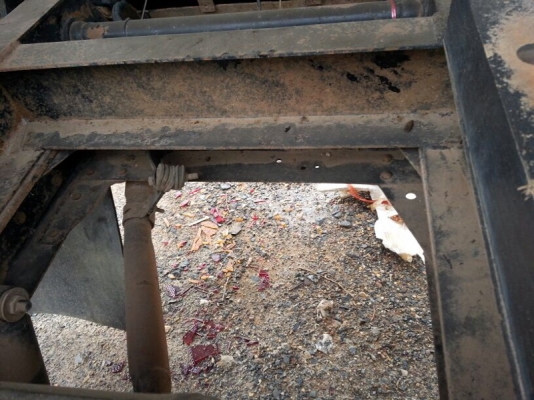 รถอีซุซุ 6 ล้อดั้ม  NKR 100 แรงม้า ปี 49   สนใจติดต่อ 081 - 6079515