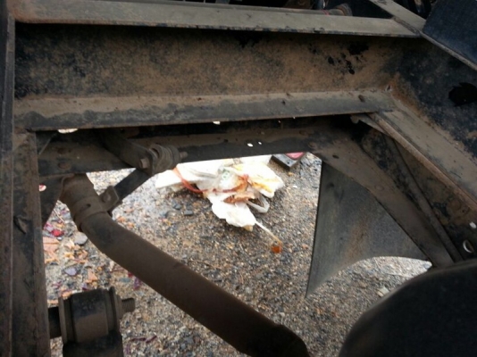 รถอีซุซุ 6 ล้อดั้ม  NKR 100 แรงม้า ปี 49   สนใจติดต่อ 081 - 6079515