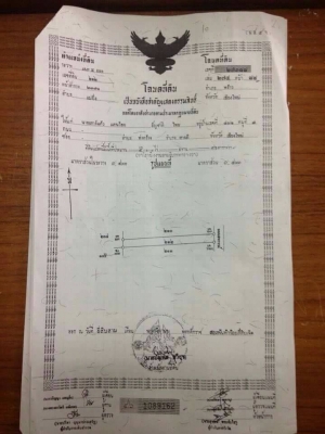 ขายสวนลำใย จ.เชียงใหม่