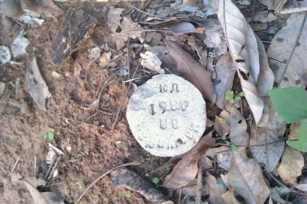 ขายสวนลำใย จ.เชียงใหม่