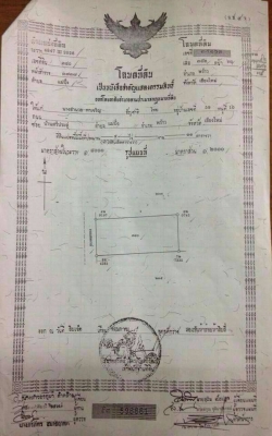 ขายสวนลำใย จ.เชียงใหม่