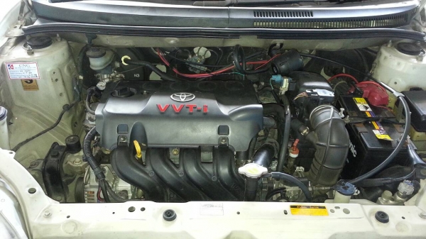 วีออส ขาว อวบ