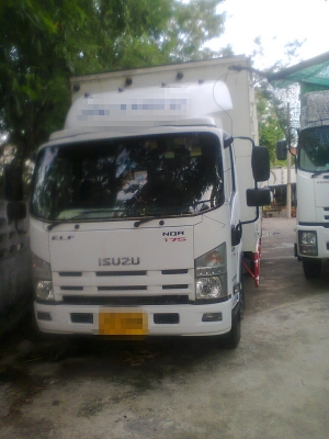 ขายอีซูซุ  NQR 175