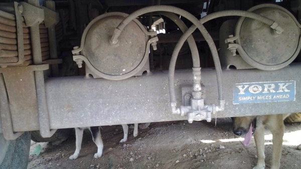 ขายรถสิบล้อหัวลากพร้อมหาง HINO เครื่อง 320 แรง ปี 51 หางอู่พนัส 3 เพลา ยาว 12.50 เมตร