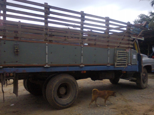 ขายหกล้อหัวยาว อีซูสุ TX -165 แรงม้า ฝาดำ สภาพพร้อมใช้