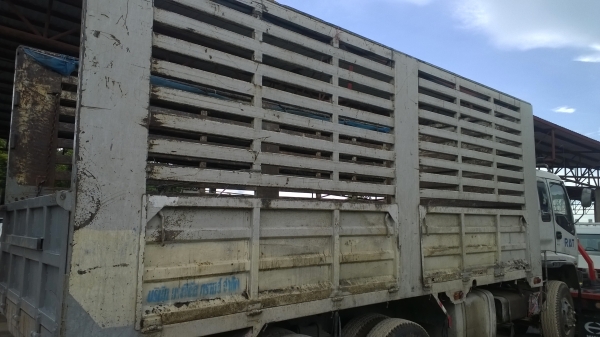 ขายกะบะรั้วคอกเหล็กสูง สภาพดี ....ยกลงจาก ISUZU