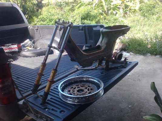 ขายโครงชาลี