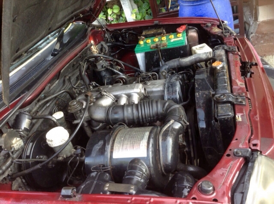 หัวเดียวกะบะเลส