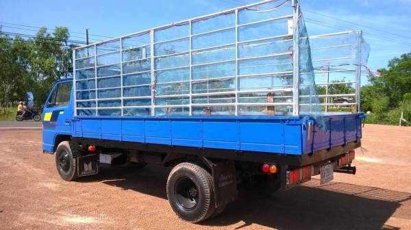 ขายรถพร้อมใช้ราคาถูก NPR 115 ห้างแท้ปี 35 กระบะยาว 4.30 เมตร เครื่อง 4BD1 115 แรงม้า เกียร์สั้น คัสซีสวยตลอดเส้น ยางดี ทะเบียนเต็มพร้อมโอน