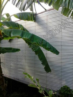 ตู้ทึบของฮีโน่