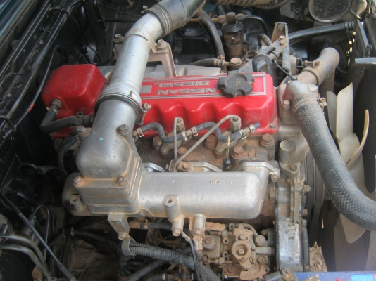 ขายbig-mหัวเดียวสวยๆ ขายbig-mหัวเดียวสวยๆ