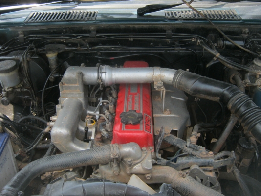 ขายbig-mหัวเดียวสวยๆ ขายbig-mหัวเดียวสวยๆ