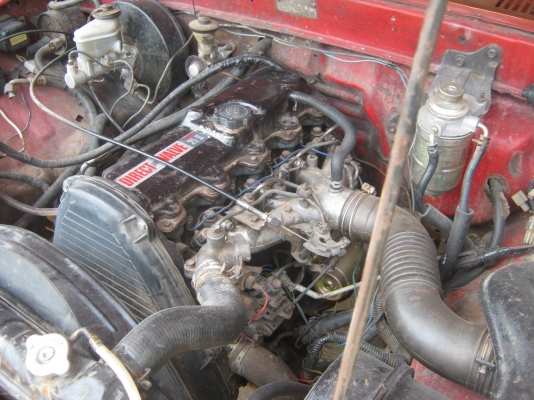 ขายไมตี้หัวเดียวสวยๆ