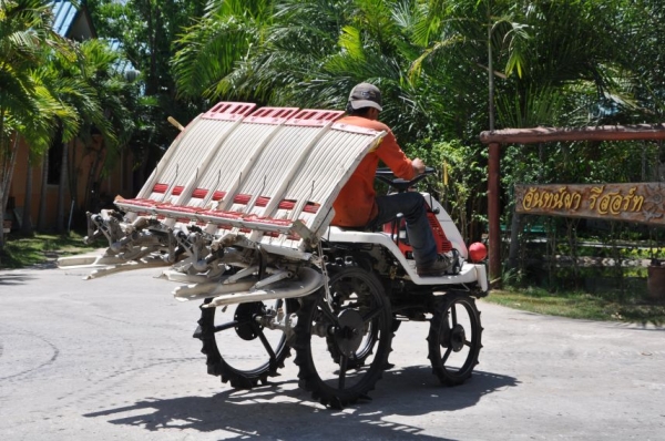 รายละเอียด ขายรถดำนา ISEKI400/yanmar pe4สภาพสวยเดิมจากญี่ปุ่นยังไม่เคยใช้ในไทย 35,000