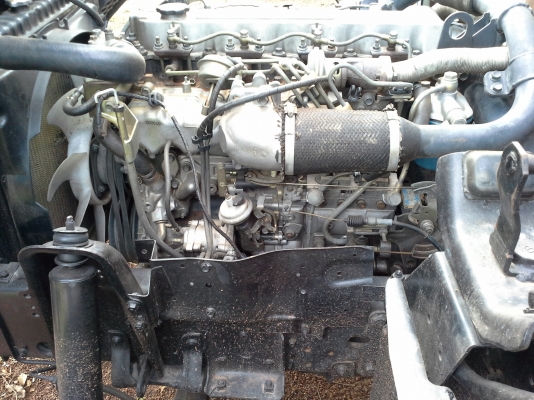 ขายด่วน ISUZU