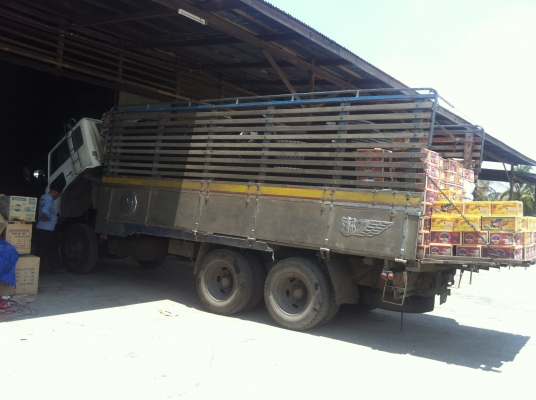 ขาย 390000 บาท HINO KT 925 เพลาเดียว หัวเก๋งแจ้งลงเล่มเรียบร้อย