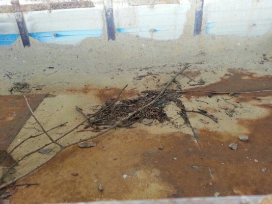 รถอีซูซุ 6 ล้อดั้ม FTR  195 แรงม้า.  ( รถประกอบ )   สนใจติดต่อ 081 - 6079515