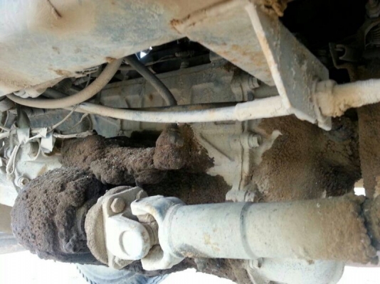 รถอีซูซุ 6 ล้อดั้ม FTR  195 แรงม้า.  ( รถประกอบ )   สนใจติดต่อ 081 - 6079515