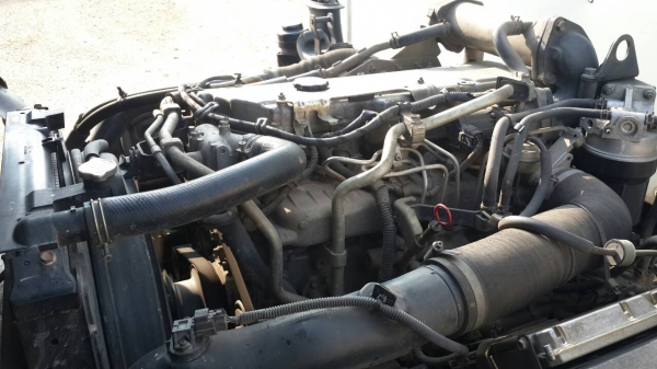 ISUZU NPR  ขายด่วน  730,000 บาทค่ะ