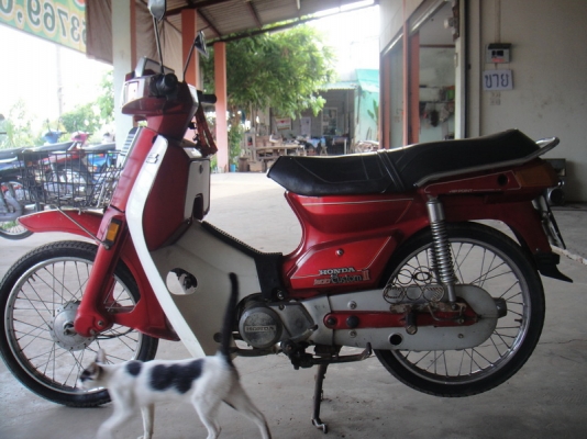 ขาย คัสต้อม สีแดง เดิมๆๆสวย  ทะเบียนพร้อมชุดโอน