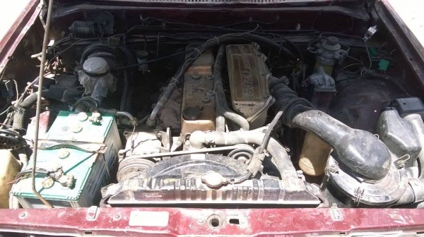 Izusu เครื่องมังกรทอง