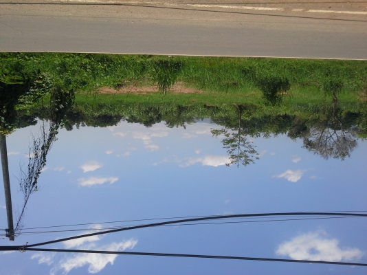 ขายที่ดิน จ.เพชรบูรณ์