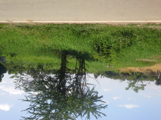 ขายที่ดิน จ.เพชรบูรณ์