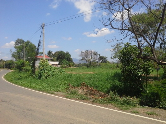 ขายที่ดิน จ.เพชรบูรณ์