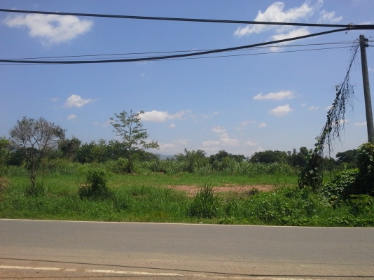 ขายที่ดิน จ.เพชรบูรณ์