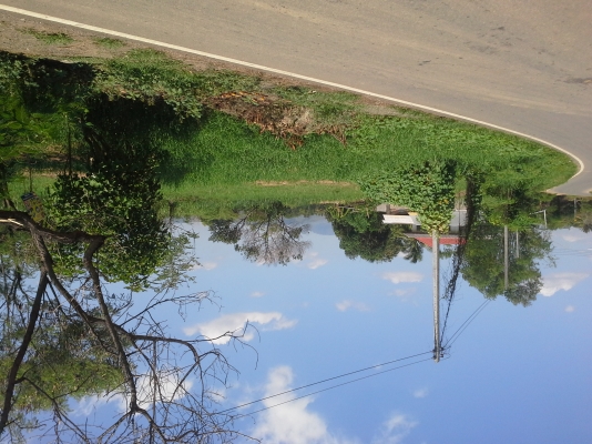 ขายที่ดิน จ.เพชรบูรณ์