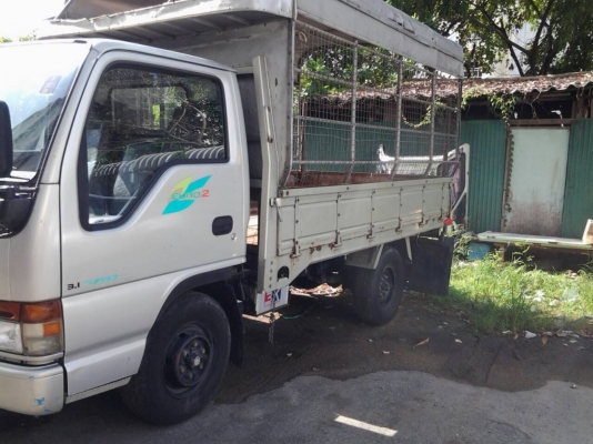 ขาย รถบบรทุก 4 ล้อ ISUZU NKR ELF