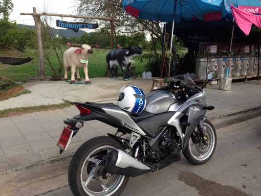 ขายยางเดิมติดรถCBR250 วิ่งแค่2000โลครับ