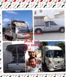 ) รถรับจ้างบางนา บางพลี เทพารักษ์ ศรีนครินคร์ 0824894182 ) รถรับจ้างบางนา บางพลี เทพารักษ์ ศรีนครินคร์ 0824894182