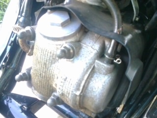 ฟีโน่ปี52 เครื่องเดิมไม่เคยแกะ เล่มพร้อมโอน