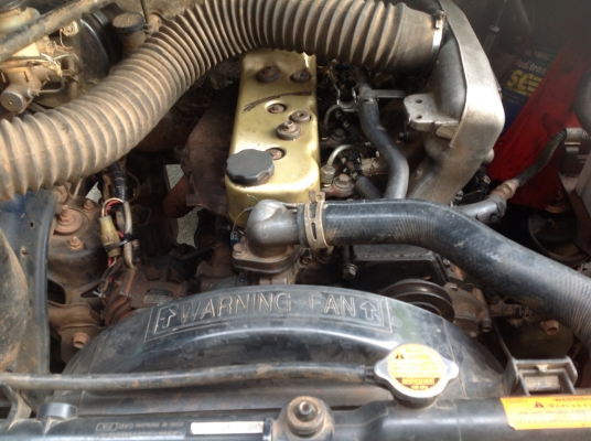 ขายฝามังกรใช่แก็ส