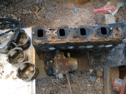 ขายฝามังกรใช่แก็ส