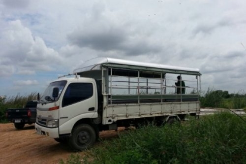 HINO XZU 423R 136HP ช่วงยาว 5 เมตร (ขาย 660,000 )