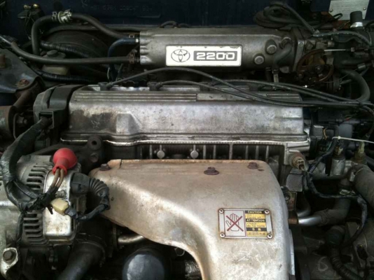 ขายแคมรี่ ปี 95 ถูกๆๆ 65000 ขายแคมรี่ ปี 95 ถูกๆๆ 65000