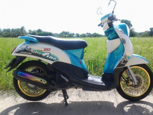 ขายฟีโน่ปี50 เครื่องดีสตาร์ทที่เดียวติด ชุดสีมีรอยนิดหน่อย ขายฟีโน่ปี50 เครื่องดีสตาร์ทที่เดียวติด ชุดสีมีรอยนิดหน่อย