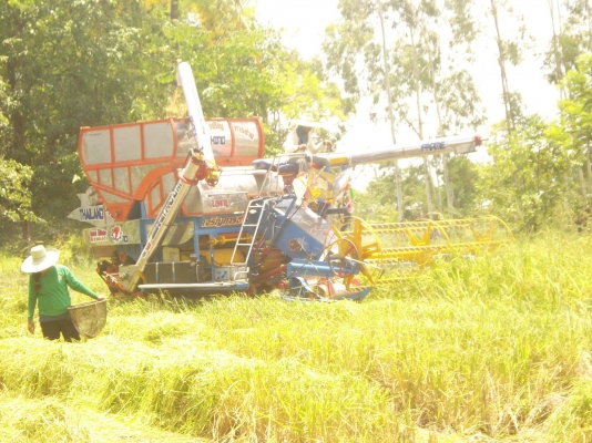 ขายเฟรมรถเกียวกก  12  ht นอกมีล้อนำโช่ใบแทรกเลาเลอร 16 ลูกขาย  280000ต่อรองใด้ครับ